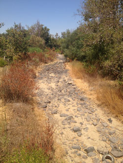 Tule River Indian Tribe Water Settlement Materials, National Indian Law