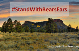 #StandWithBearsEars - photo of Bears Ears