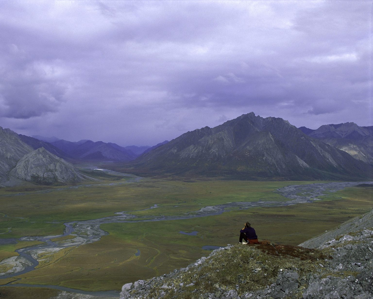 a-pause-to-assess-the-impacts-on-the-arctic-national-wildlife-refuge