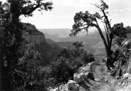 Photo of Bright Angel Trail, Grand Canyon National Park