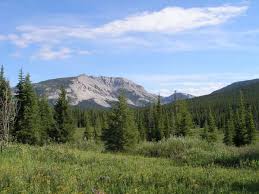 photo of field with mountains in the background. Badger-Two Medicine area. Photo credit: USDA Forest Service