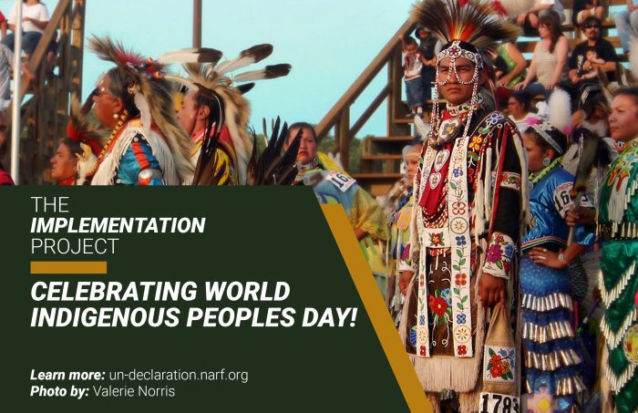 Rights of Indigenous Peoples (FPIC, UN Declaration, Implementation ...