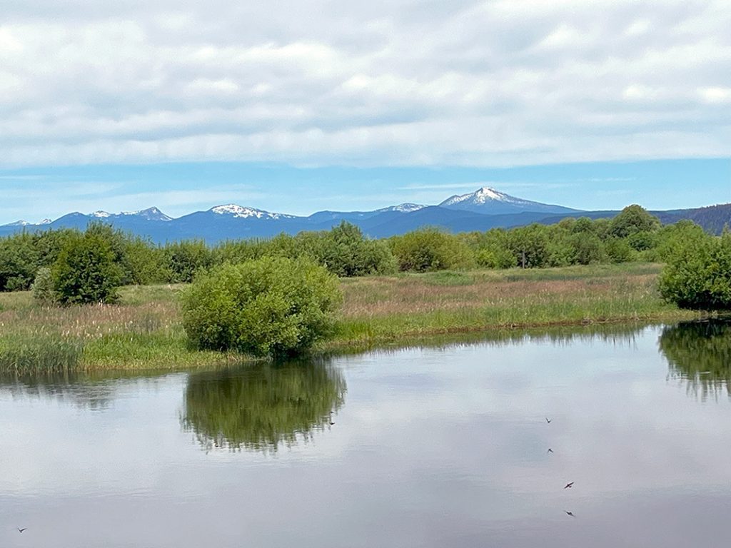 Klamath Tribes all hands on deck to save endangered C'waam and