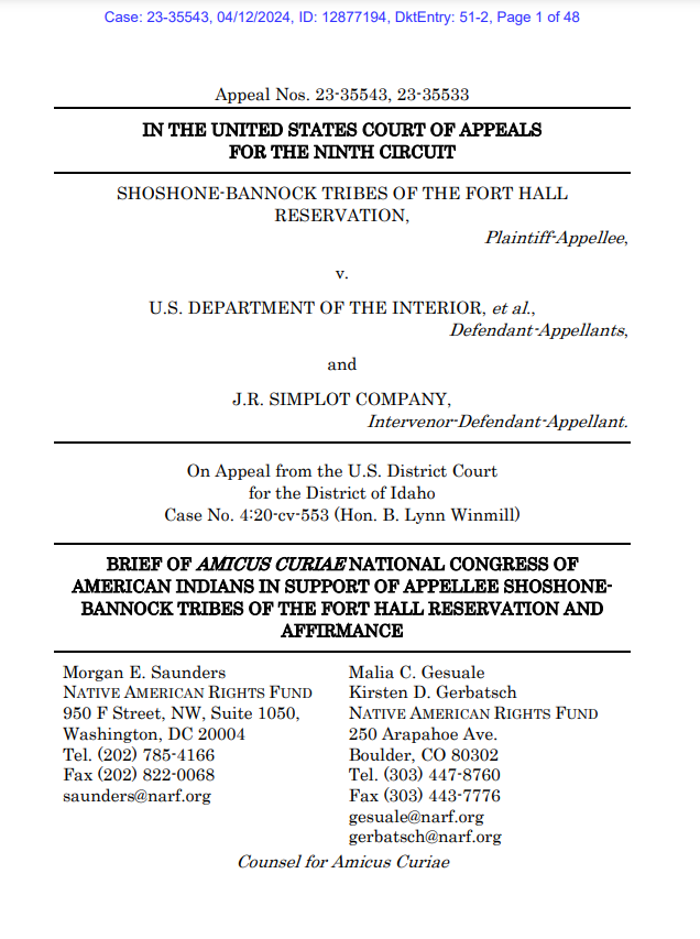 Screenshot of NCAI brief. Click to download PDF.
