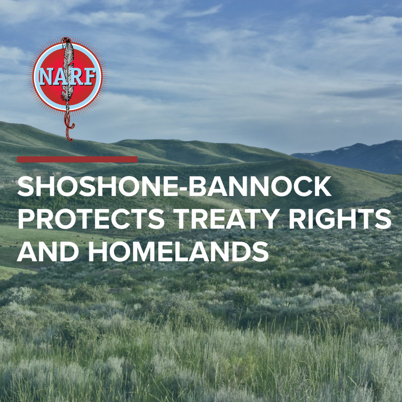 Text: Shoshone-Bannock protects treaty rights and homelands. Overlaid on photo of rolling hills. 